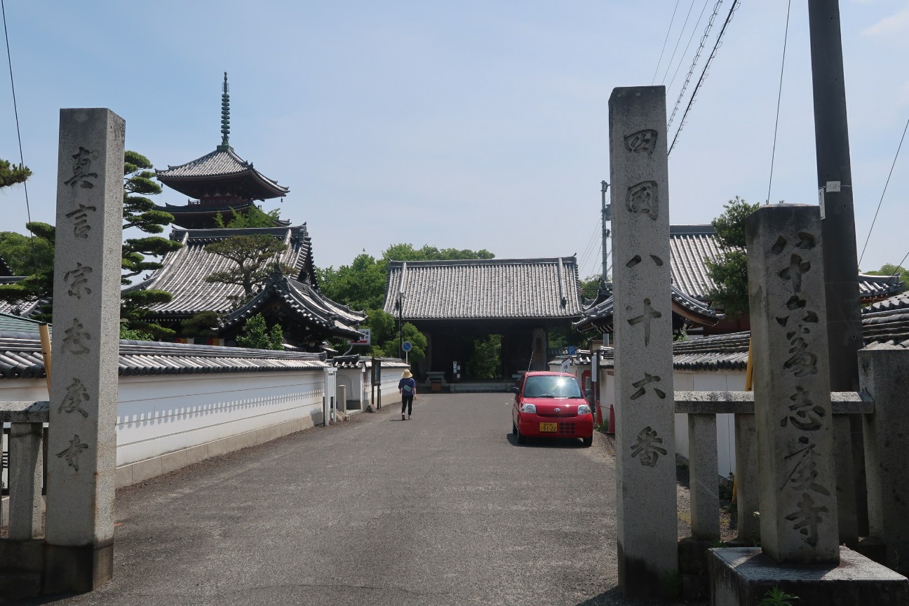 f:id:nishiuraexp:20190601134836j:image