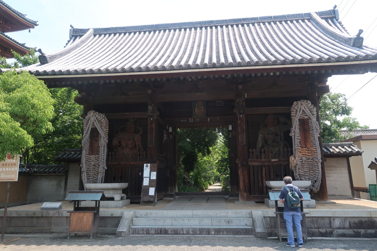 f:id:nishiuraexp:20190601134857j:image