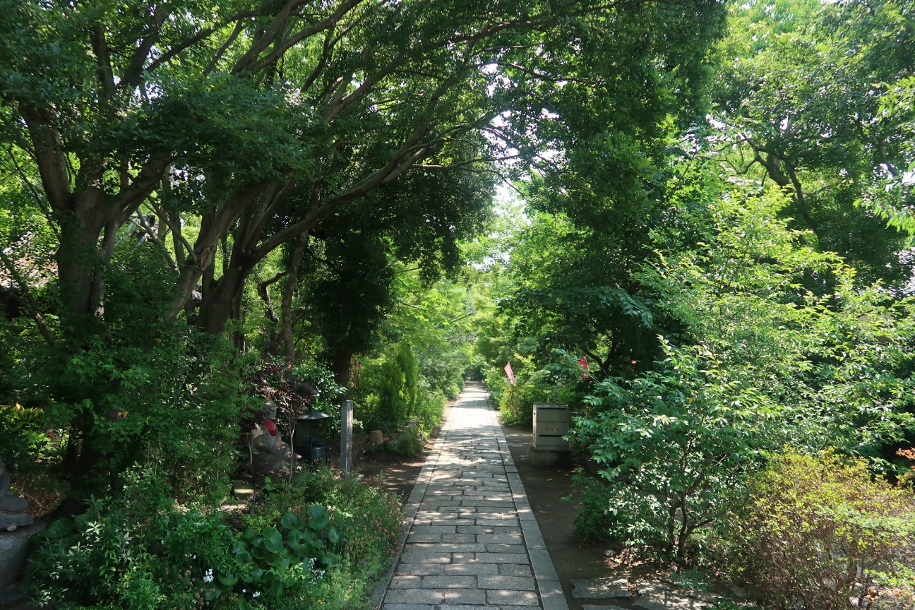 f:id:nishiuraexp:20190601134922j:image