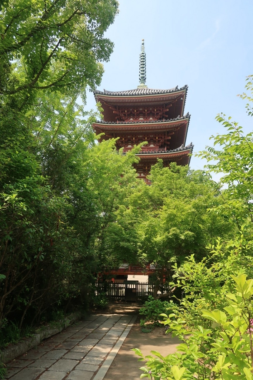 f:id:nishiuraexp:20190601203603j:plain