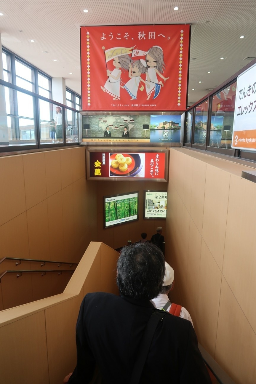 f:id:nishiuraexp:20190616082131j:plain