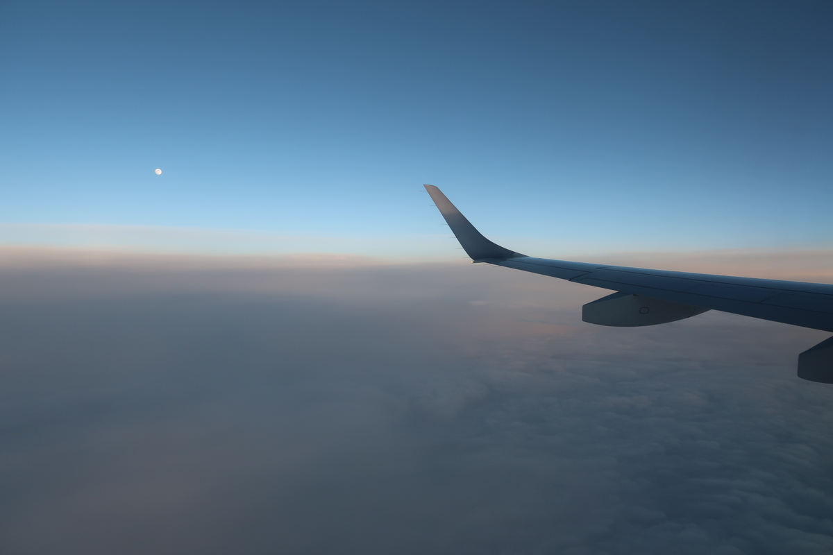 f:id:nishiuraexp:20190620193113j:plain