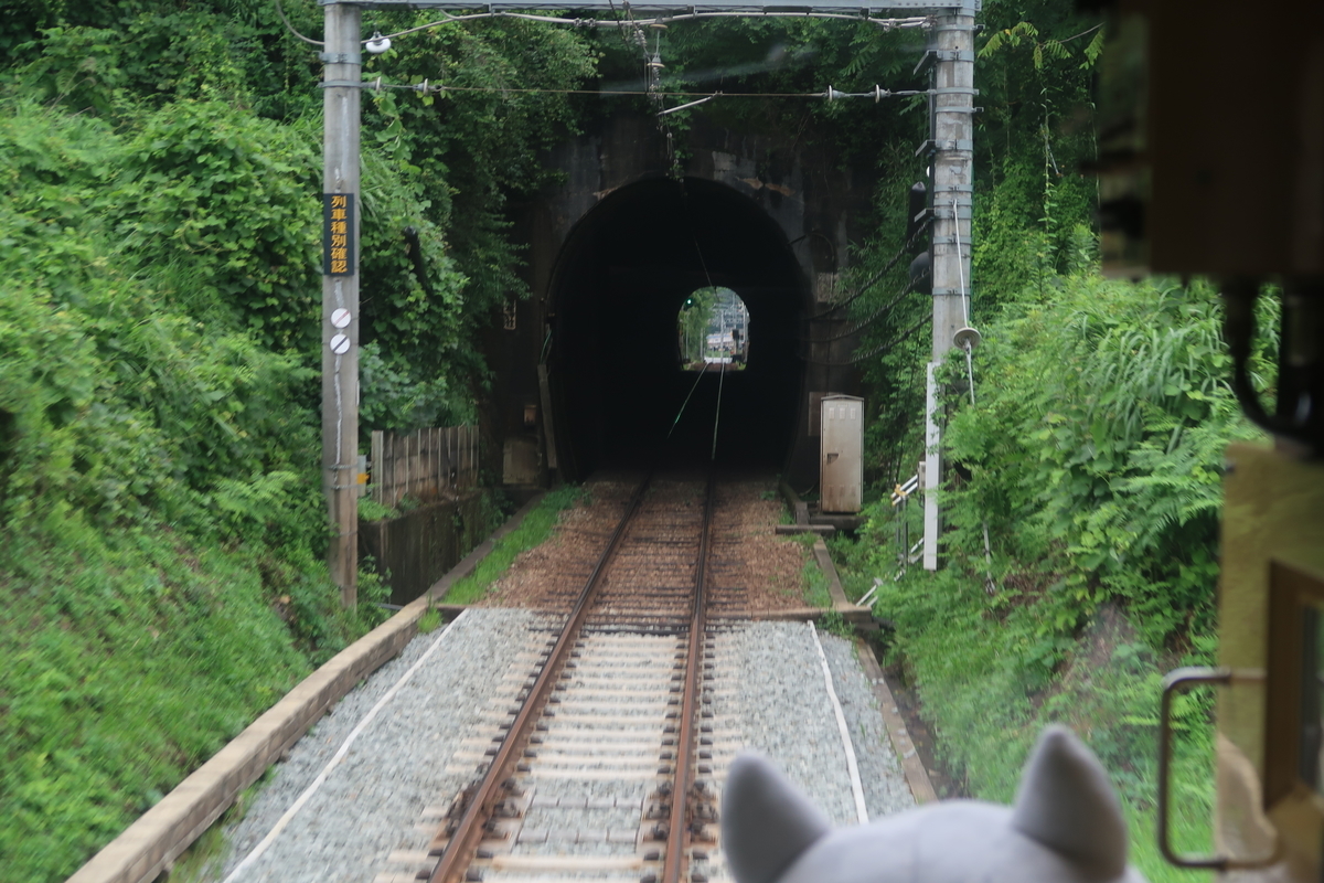 f:id:nishiuraexp:20190801130855j:plain f:id:nishiuraexp:20190801130855j:plain