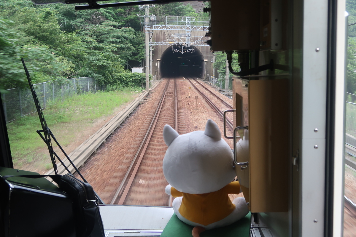 f:id:nishiuraexp:20190801131505j:plain f:id:nishiuraexp:20190801131505j:plain