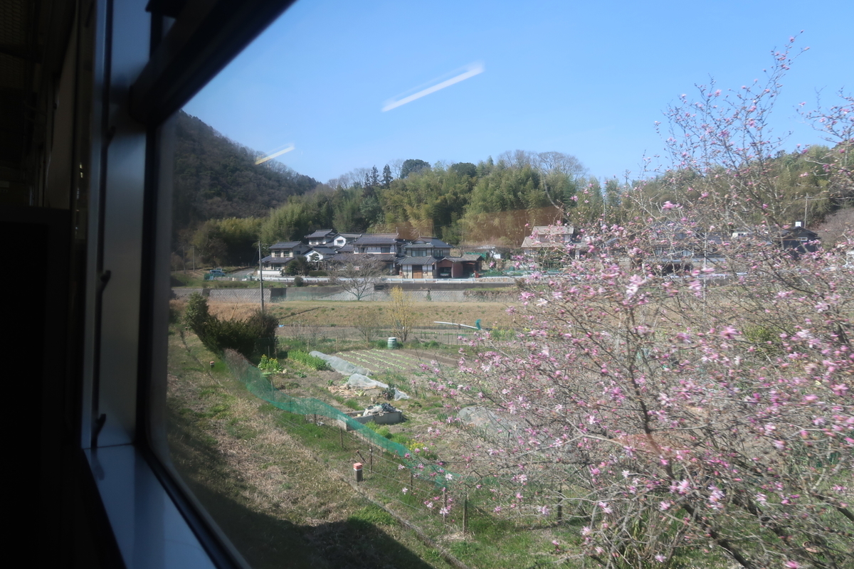 f:id:nishiuraexp:20200328232831j:plain f:id:nishiuraexp:20200328232831j:plain