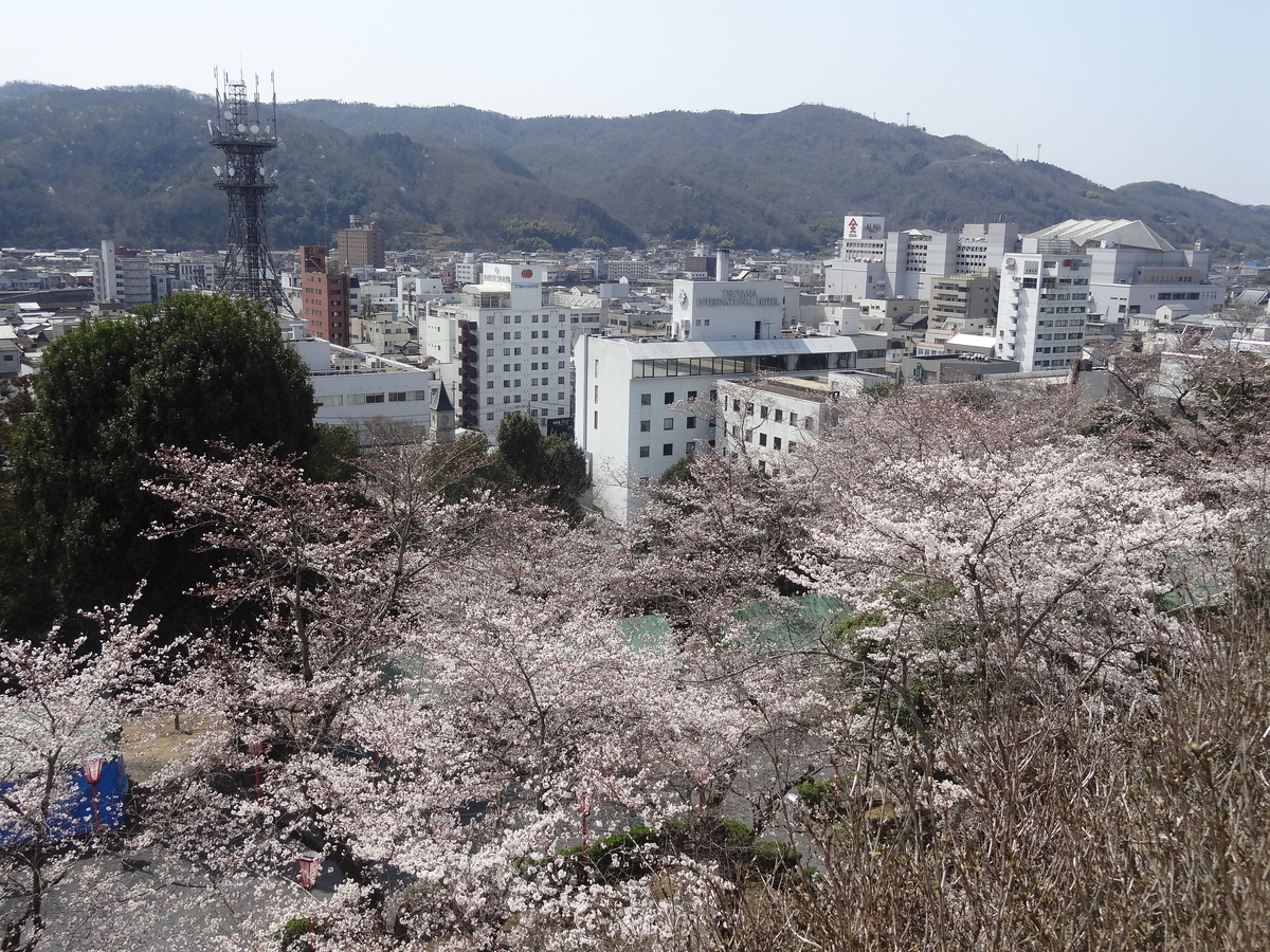 f:id:nishiuraexp:20200329144156j:plain f:id:nishiuraexp:20200329144156j:plain