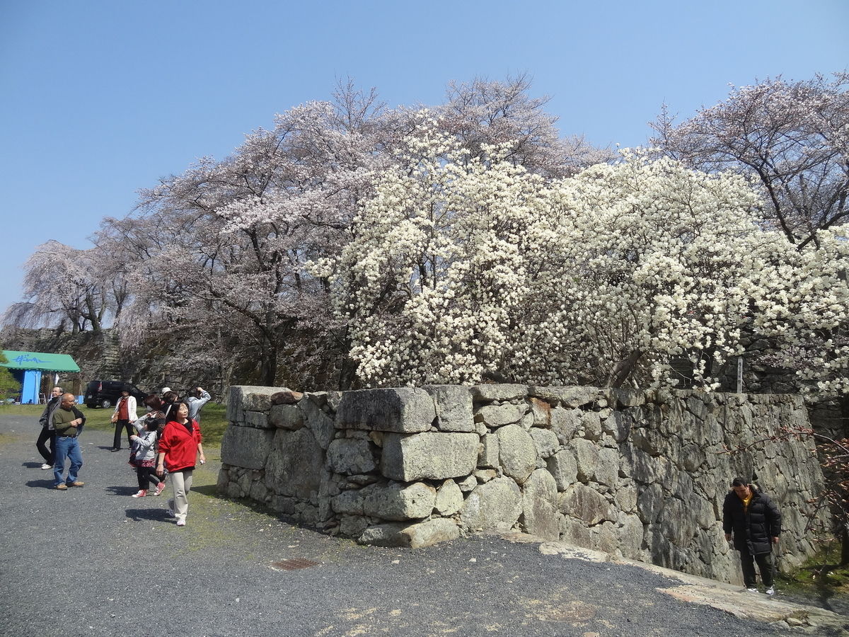 f:id:nishiuraexp:20200329144405j:plain f:id:nishiuraexp:20200329144405j:plain