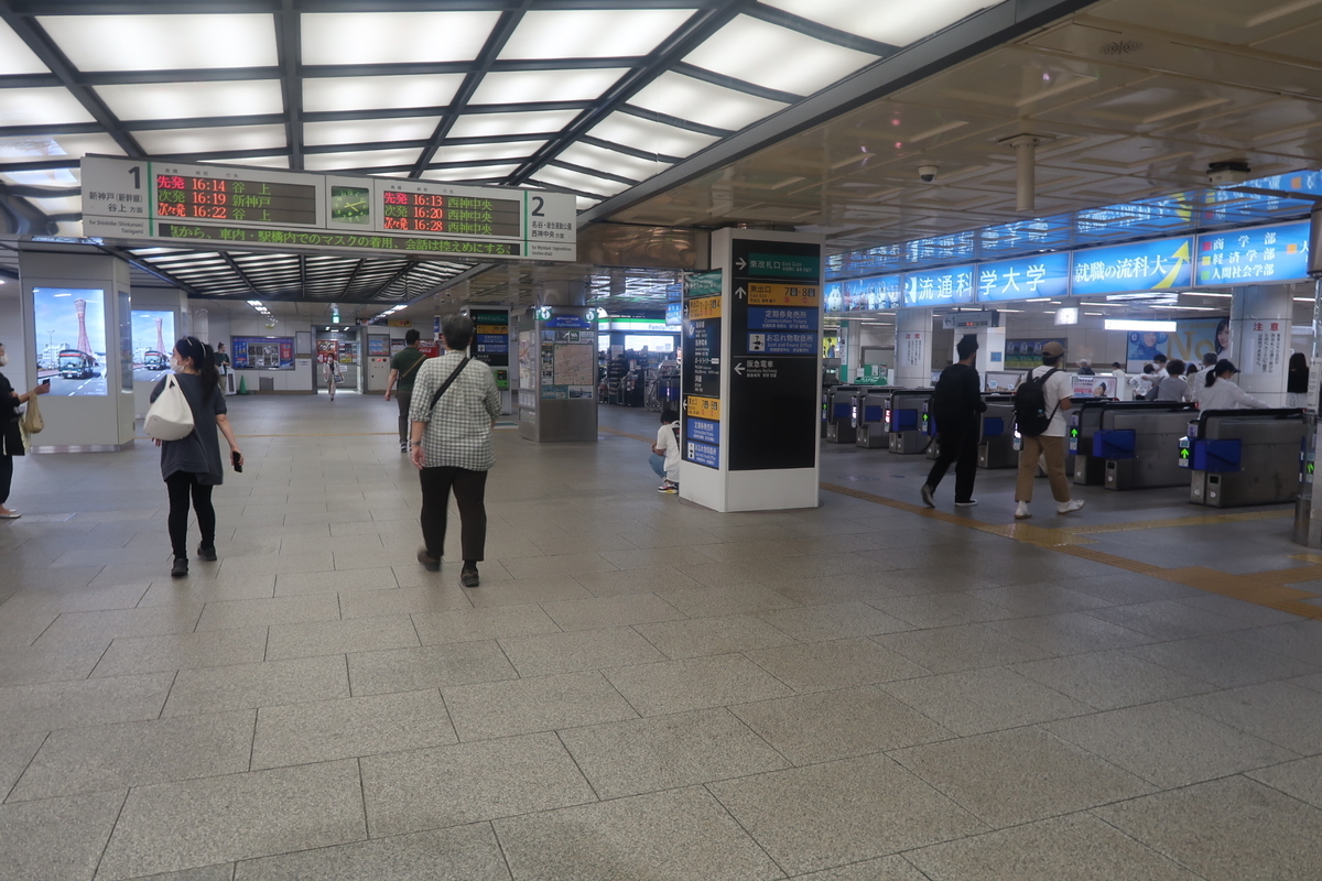 f:id:nishiuraexp:20200607174309j:plain