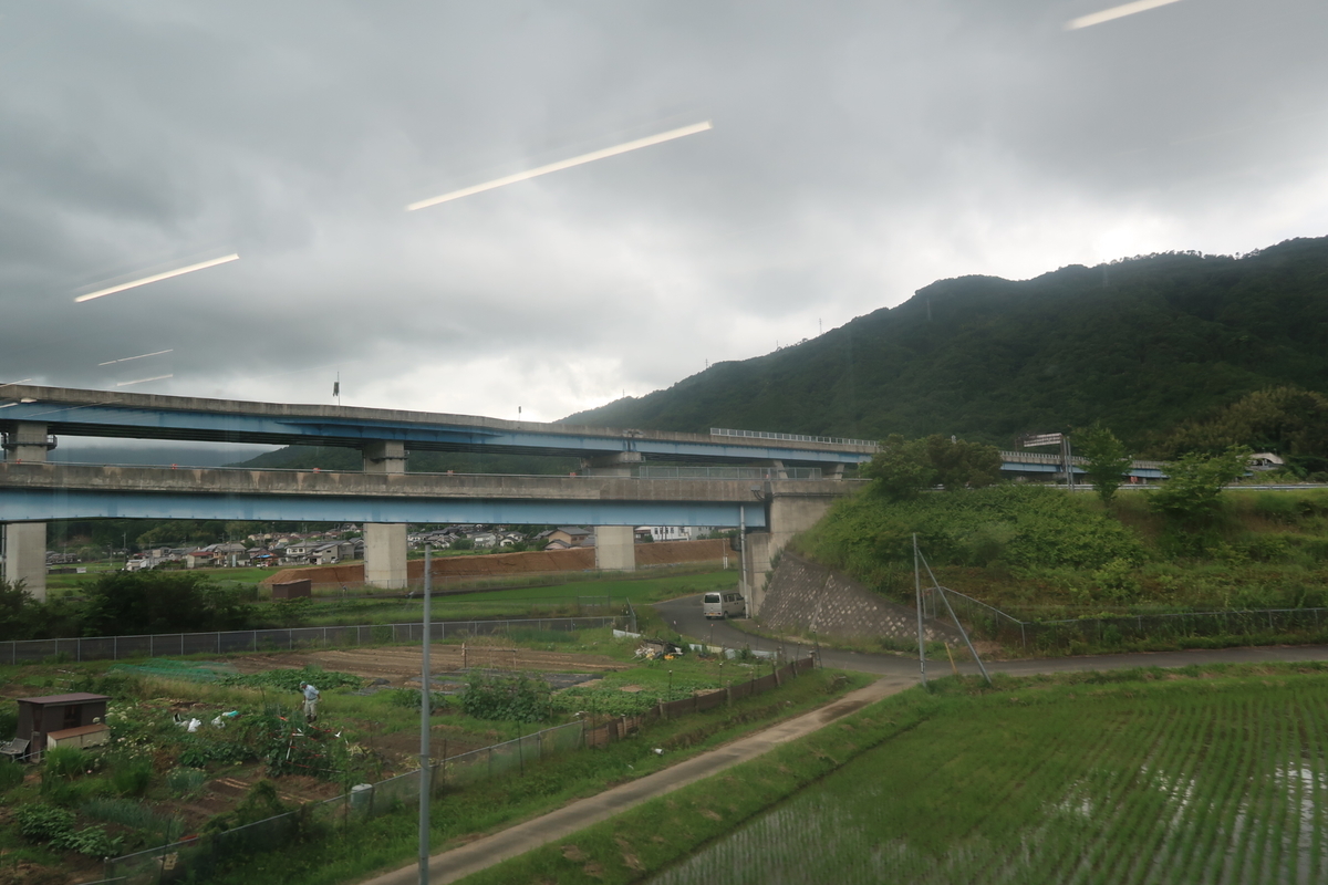 f:id:nishiuraexp:20200628111645j:plain