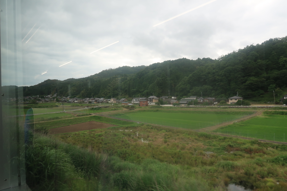 f:id:nishiuraexp:20200628111730j:plain