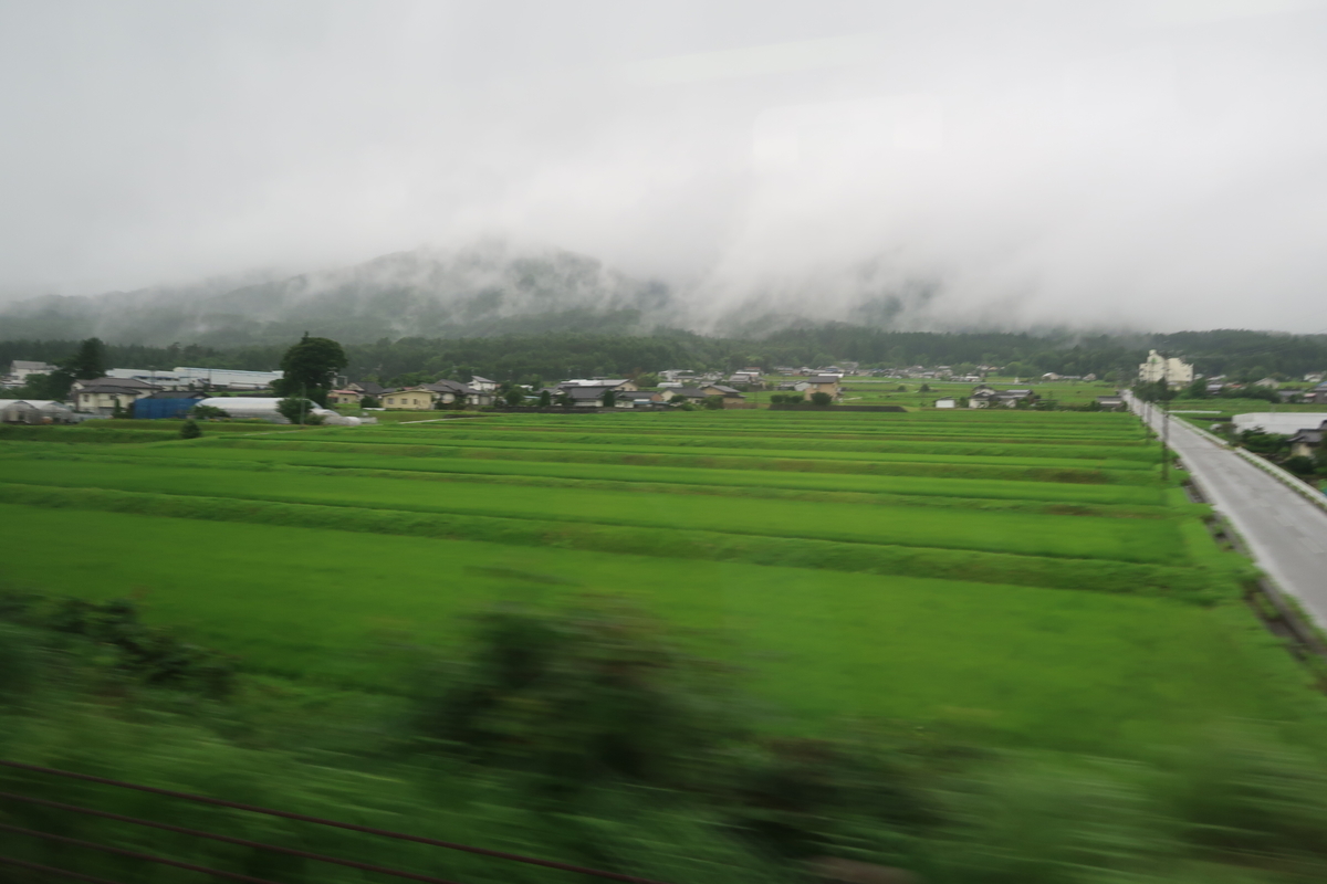 f:id:nishiuraexp:20200730203529j:plain f:id:nishiuraexp:20200730203529j:plain