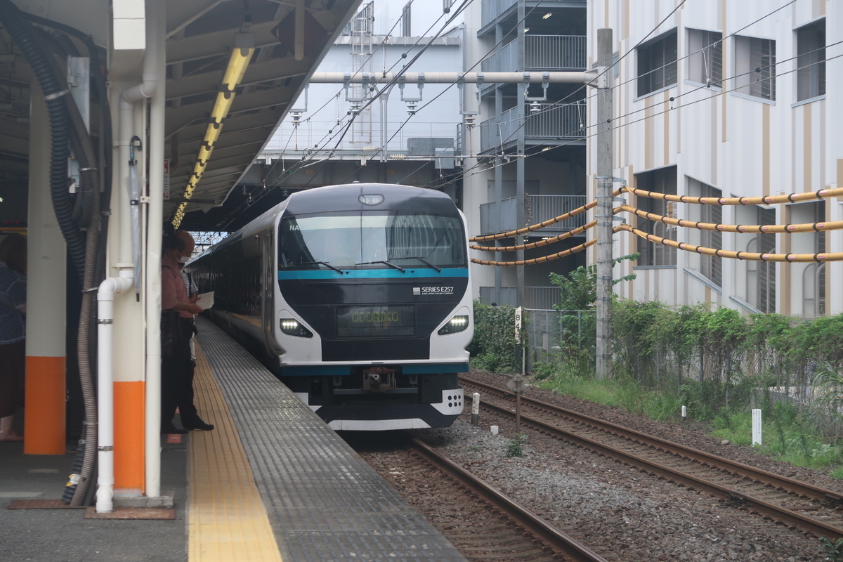 E257系 特急踊り子7号乗車記 小田原11 02 伊豆急下田12 41 西浦特急 鉄道と旅のブログ