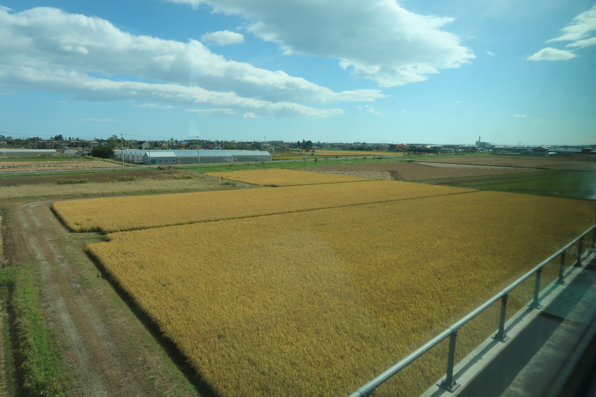 f:id:nishiuraexp:20201030200733j:plain