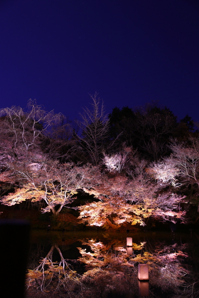 f:id:nishizawahontensasebo:20171204164338j:plain
