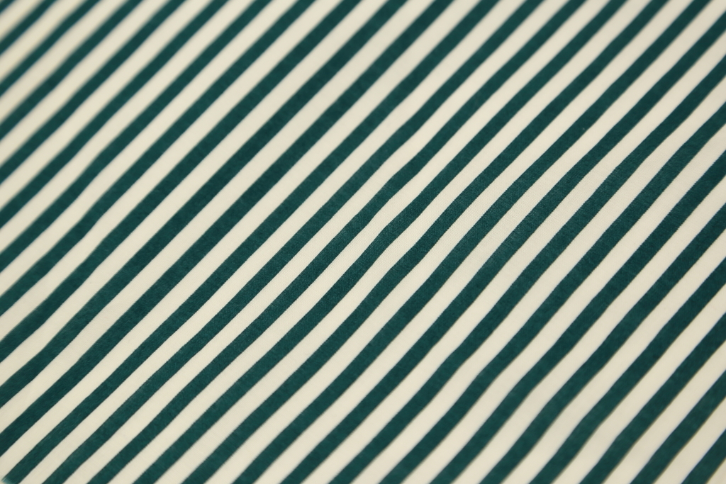 f:id:nishizawahontensasebo:20190301102911j:plain