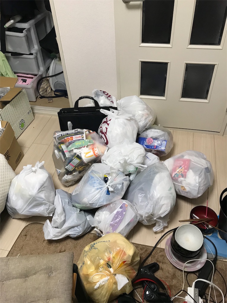 1ヶ月お嬢様生活 西河のてきとう日記 1ヶ月お嬢様生活 西河のてきとう日記