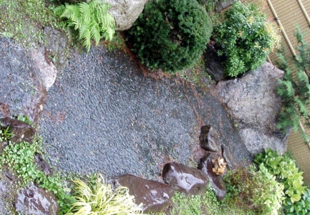 大雨降水時の中庭