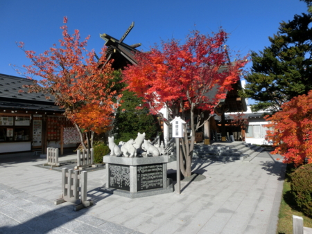 西野神社 秋の風景