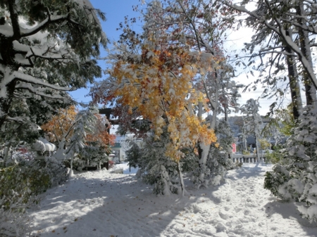 平成28年11月上旬の西野神社の風景