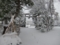 平成28年12月6日　西野神社 雪景色