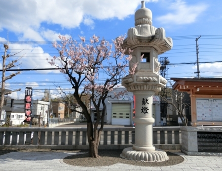 西野神社境内の春の風景（平成30年5月4日）