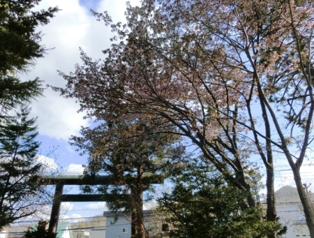 西野神社境内の春の風景（平成30年5月4日）