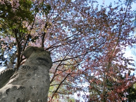 西野神社境内の春の風景（平成30年5月4日）