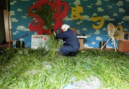平成30年 西野神社夏越大祓「茅の輪」作成作業