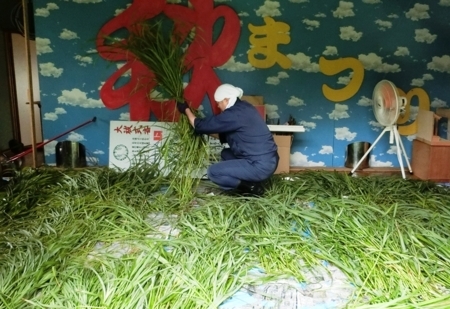 平成30年　西野神社夏越大祓「茅の輪」作成作業