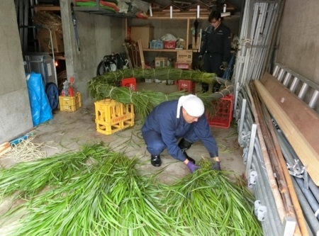 平成30年　西野神社夏越大祓「茅の輪」作成作業