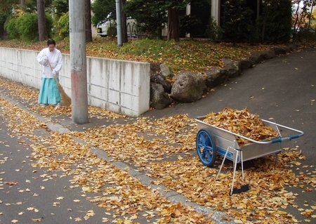 神社裏の落ち葉掃き掃除