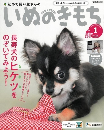 「いぬのきもち」2019年1月号 表紙
