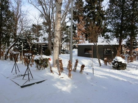 平成30年末の西野神社境内