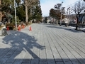 平成31年3月14日の西野神社境内 平成31年3月14日の西野神社境内