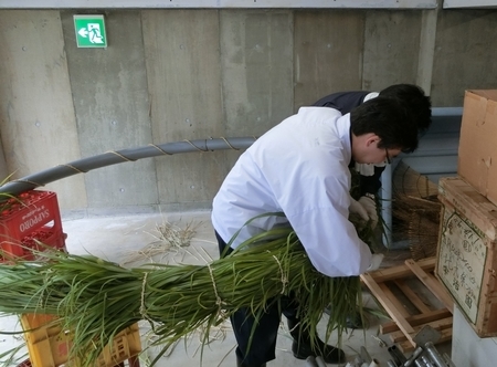 令和元年 西野神社夏越大祓「茅の輪」作成作業