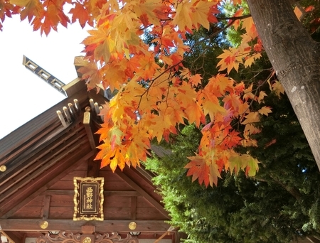 西野神社境内 秋の景色