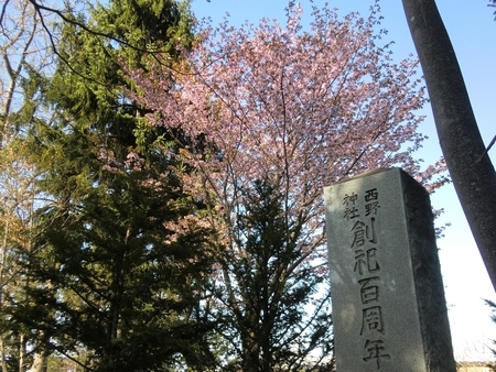 令和2年5月初旬 西野神社の桜