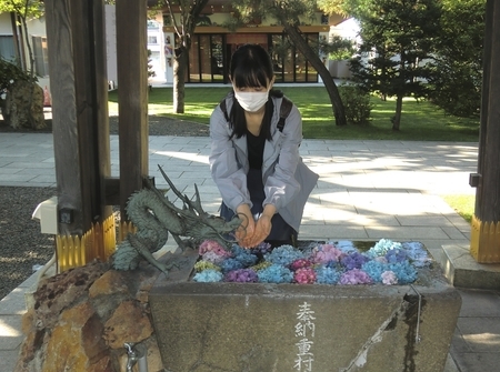 西野神社の花手水