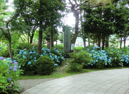 令和2年8月上旬の西野神社境内