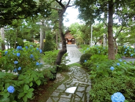 西野神社の拝殿正面（遠景）