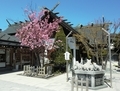 西野神社の社殿側面