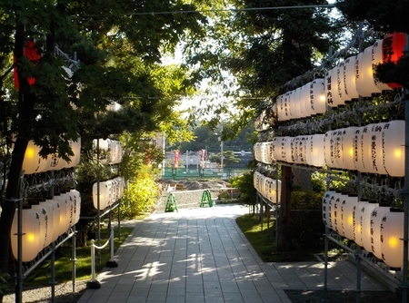 令和3年9月　西野神社 秋まつり（参道と奉納提灯）