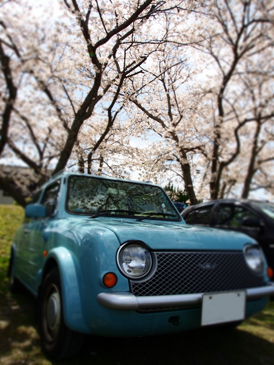 イメージ 1