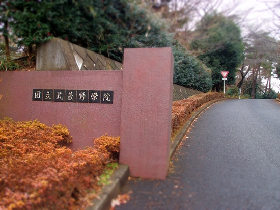イメージ 5
