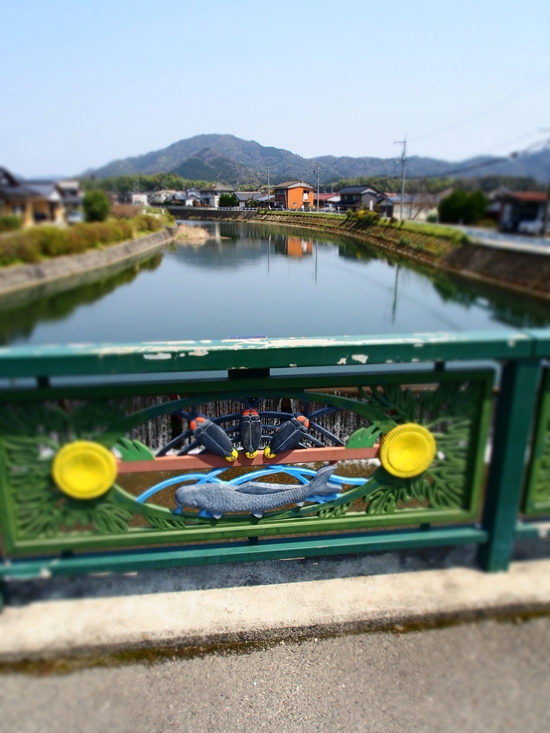 イメージ 1