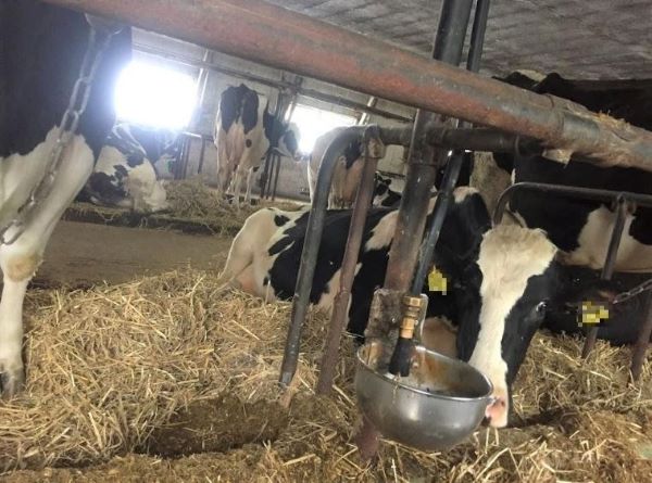 f:id:nissensangyou:20191211094548j:plain f:id:nissensangyou:20191211094548j:plain