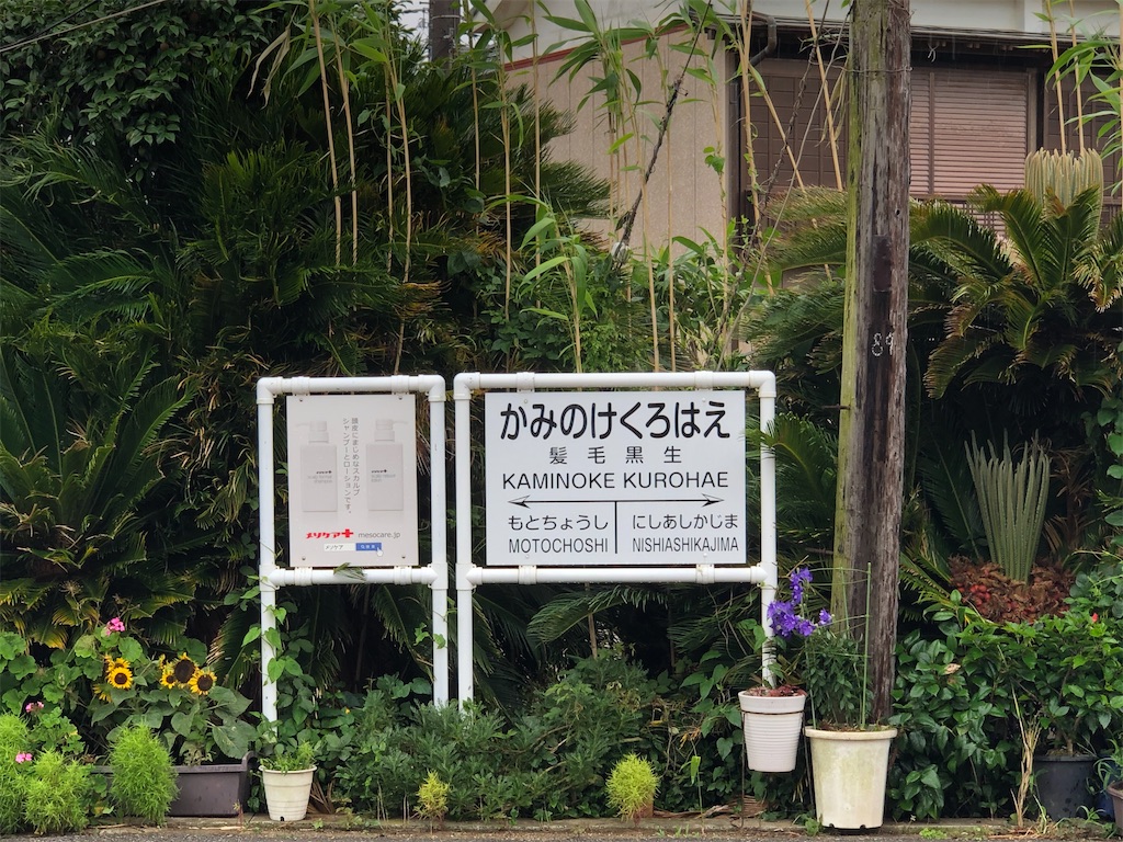 f:id:nissheeey:20201103220548j:image f:id:nissheeey:20201103220548j:image