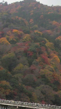 f:id:nissin-red-group:20101201145157j:image f:id:nissin-red-group:20101201145157j:image