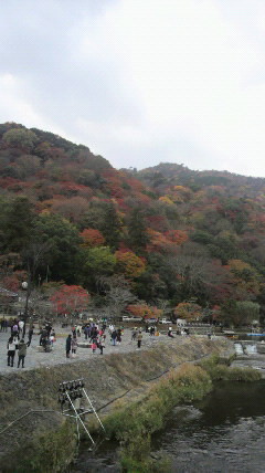 f:id:nissin-red-group:20101201145237j:image f:id:nissin-red-group:20101201145237j:image