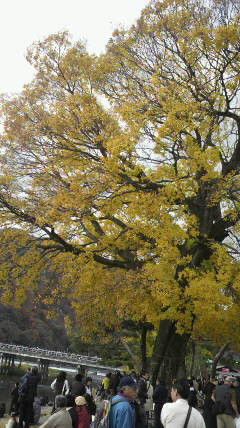 f:id:nissin-red-group:20101201145238j:image f:id:nissin-red-group:20101201145238j:image